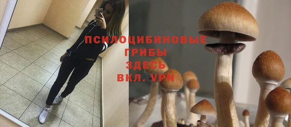 синтетический гашиш Иннополис