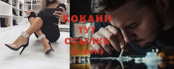 МДПВ Инта