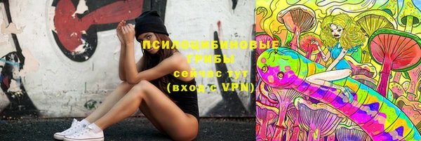 МДПВ Инта