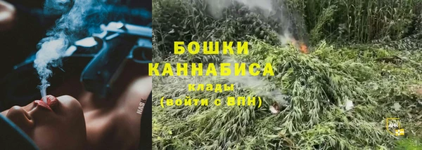 МДПВ Инта