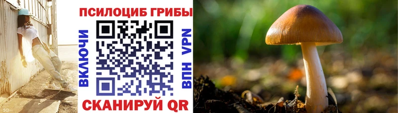 Галлюциногенные грибы Psilocybine cubensis  Ступино 