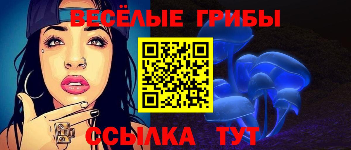 магазин продажи наркотиков  Вход с VPN  Ступино  Псилоцибиновые грибы Psilocybe 